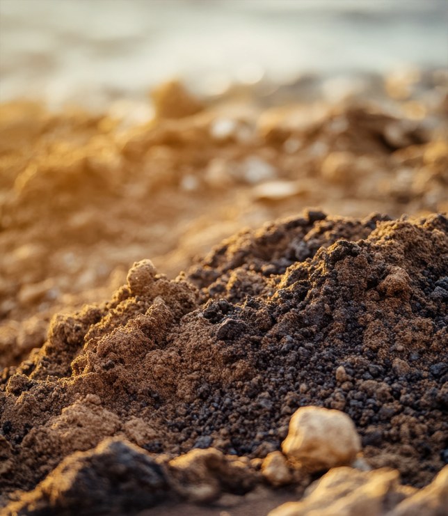 Close detail of screened aggregate and soil, graded by size